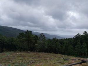 Caminho Portugues Tag 5 - Blick über bewaldete Berge