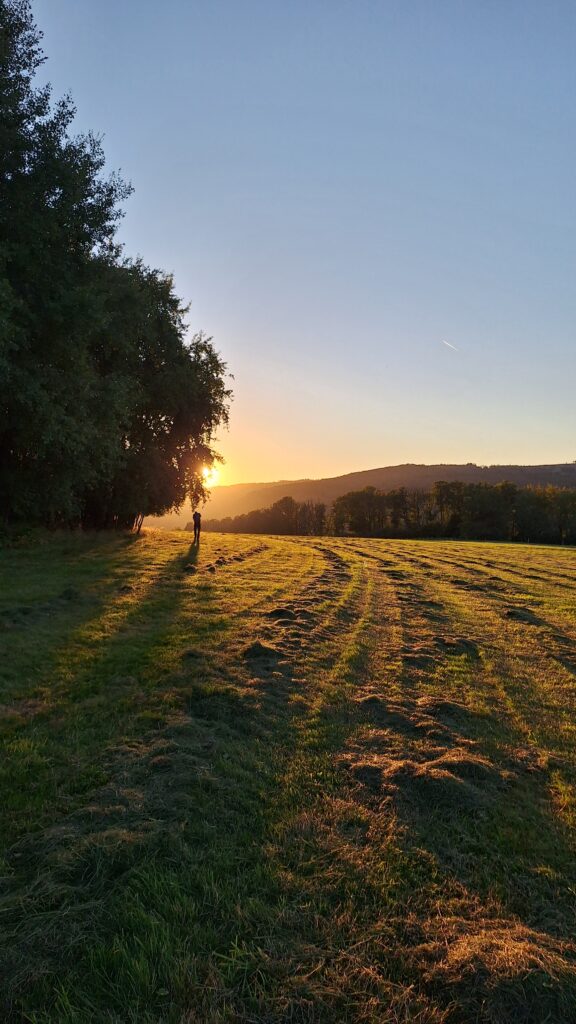 Sonnenuntergang.
Eine Person geht über eine Wiese unter einem großen Baum.
Es wirkt romantisch, die Schatten sind schon sehr lang.